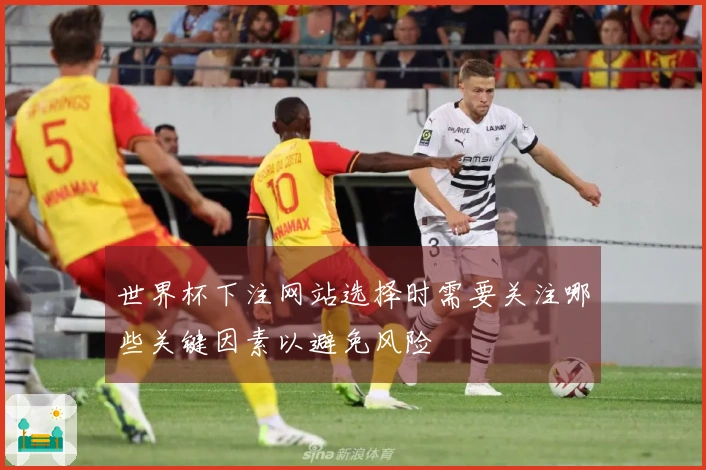 世界杯下注网站选择时需要关注哪些关键因素以避免风险