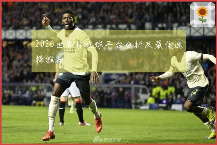 2026世界杯让球平台分析及最佳选择推荐