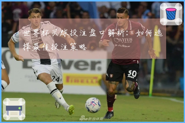 世界杯买球投注盘口解析：如何选择最佳投注策略