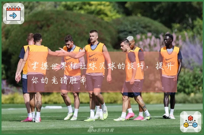 掌握世界杯让球买球的技巧，提升你的竞猜胜率