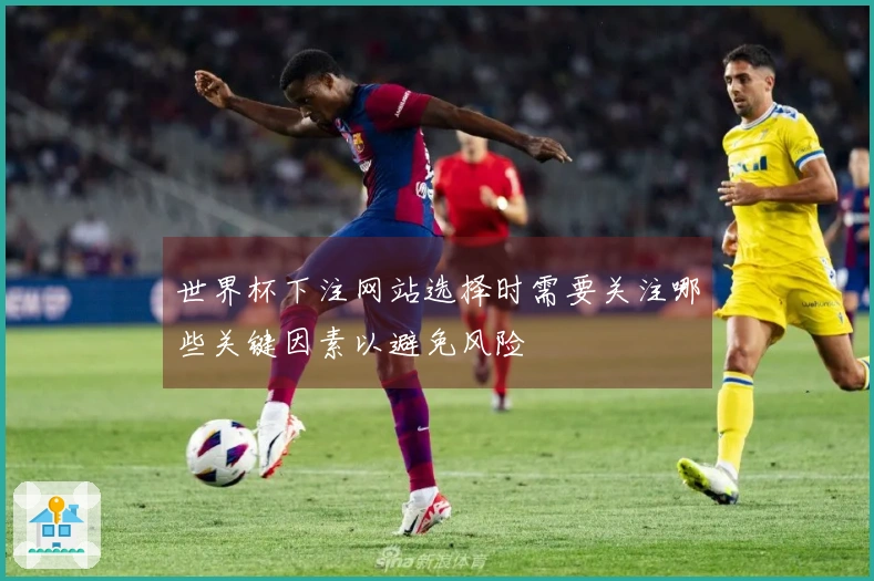 世界杯下注网站选择时需要关注哪些关键因素以避免风险