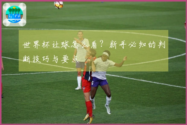 世界杯让球怎么看？新手必知的判断技巧与要点