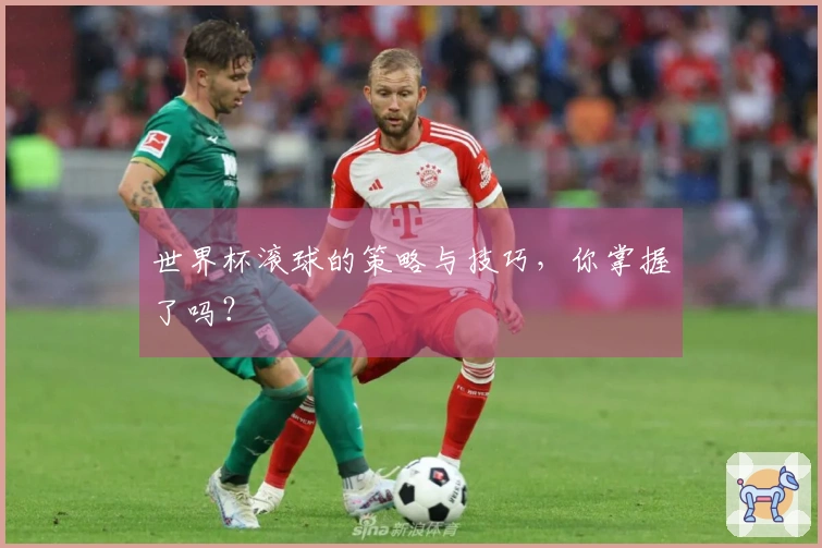 世界杯滚球的策略与技巧，你掌握了吗？